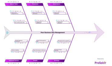 Poor Business Risk Management
